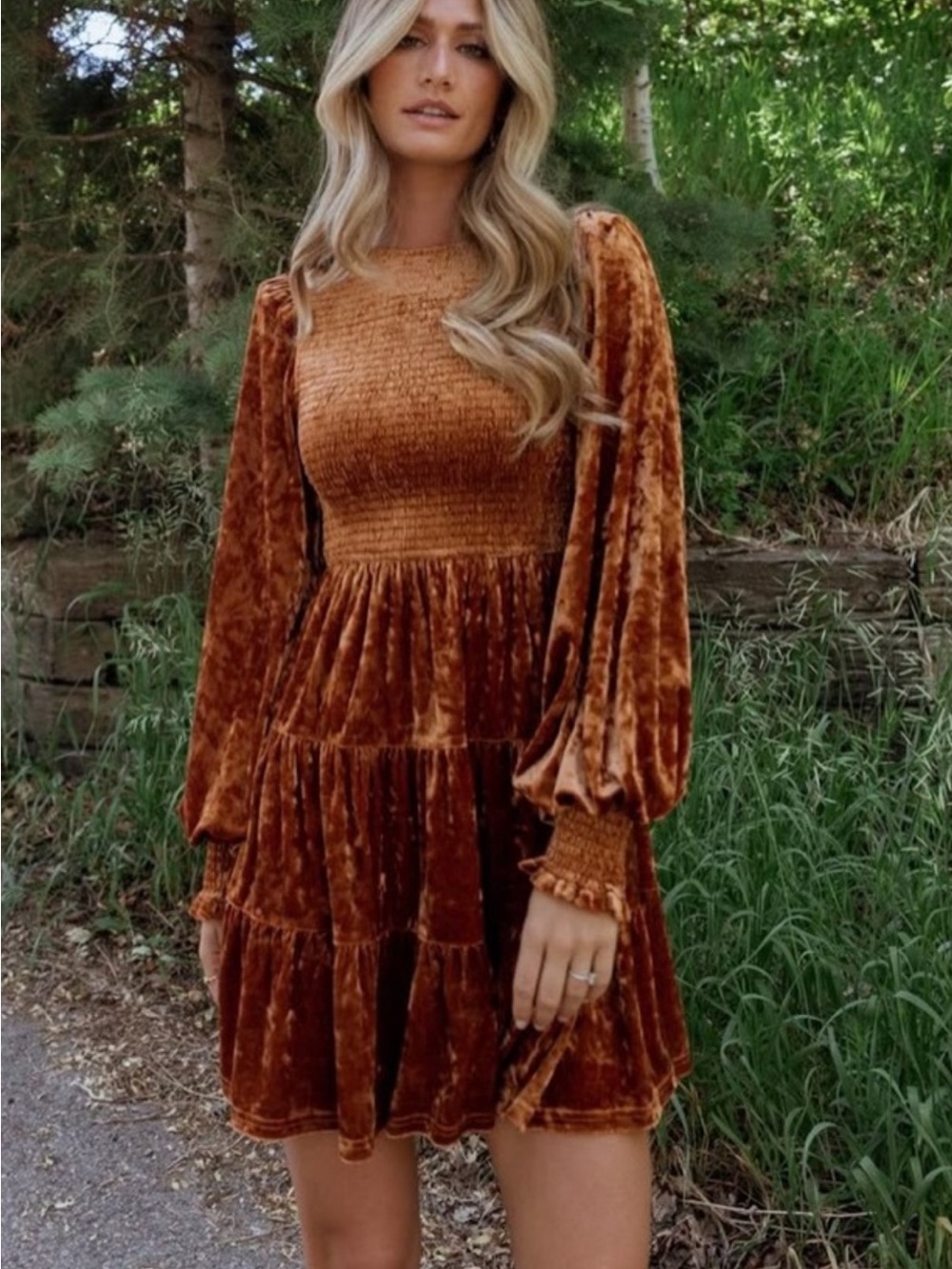 NWT Baltic Born Kele Crushed Velvet Mini Dress